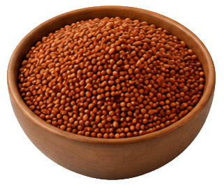 Finger Millet (Ragi)