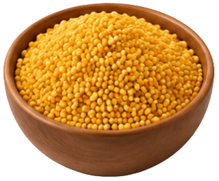 Foxtail Millet