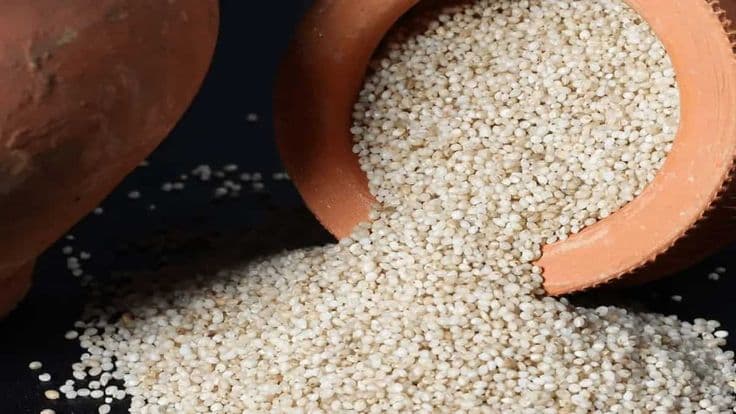 Little Millet